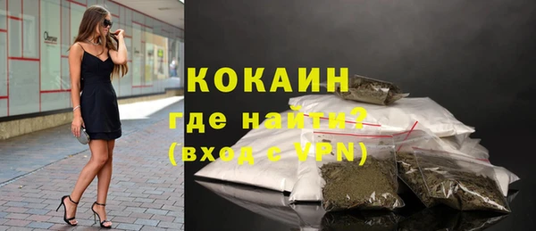 бошки Новодвинск