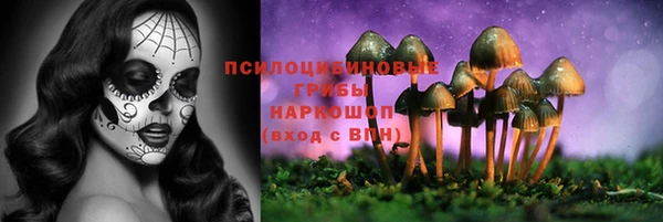 кокс Щигры