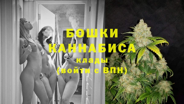 эйфоретик Новозыбков