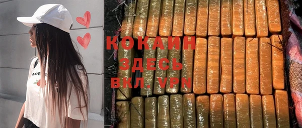бошки Новодвинск