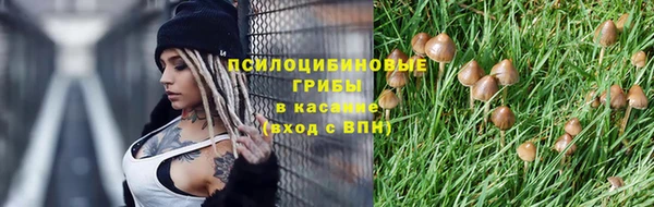 бошки Новодвинск