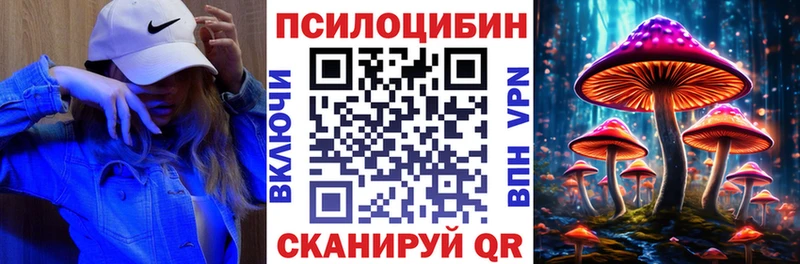 Псилоцибиновые грибы Psilocybine cubensis  Новая Усмань 