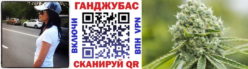 ОМГ ОМГ tor  Новая Усмань  Конопля сатива 
